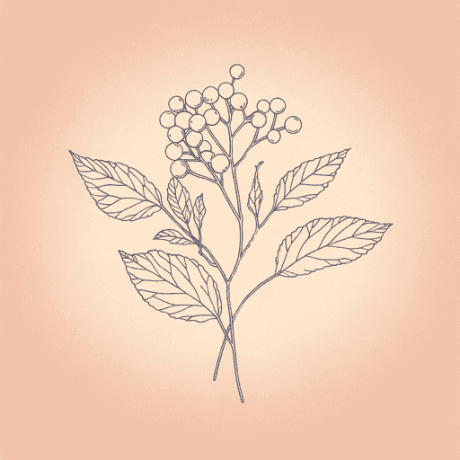 Guide cover image